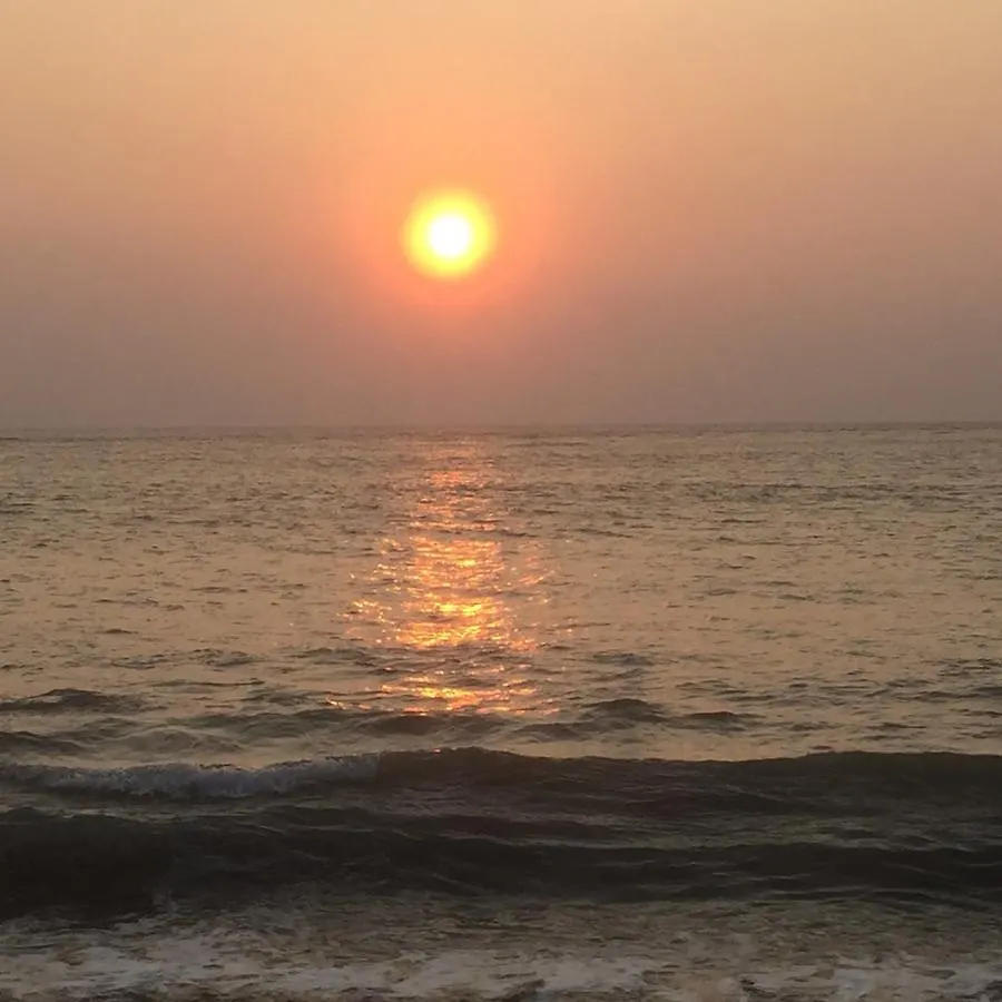 Samudra Munambam@Cherai Beach Hotel Kochi India